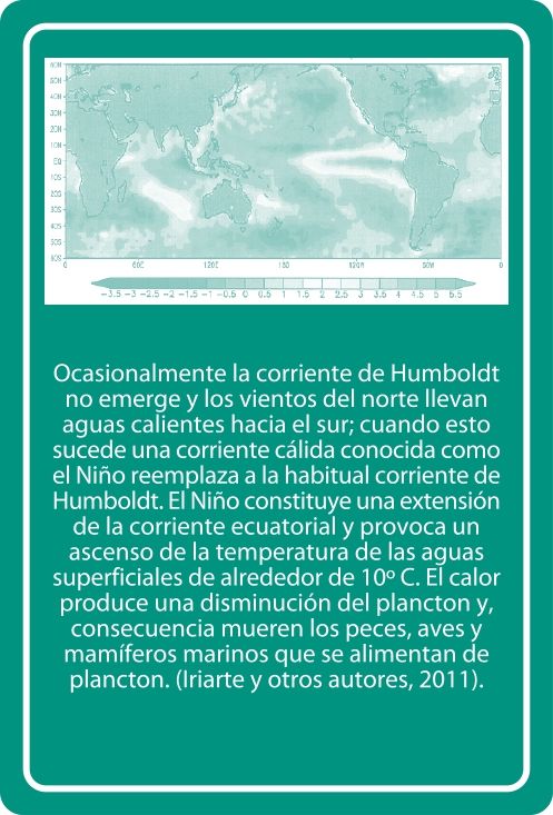 Portada Reverso